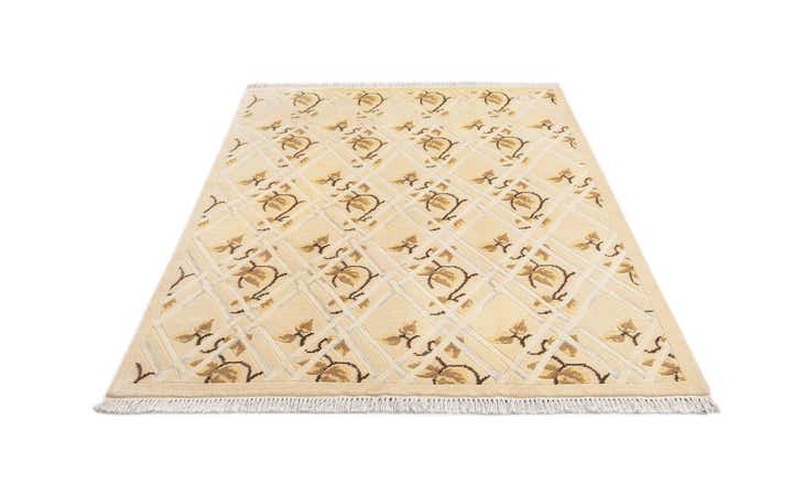 4' 11 x 6' 7 Darya Rug