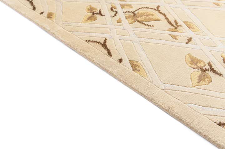 4' 11 x 6' 7 Darya Rug