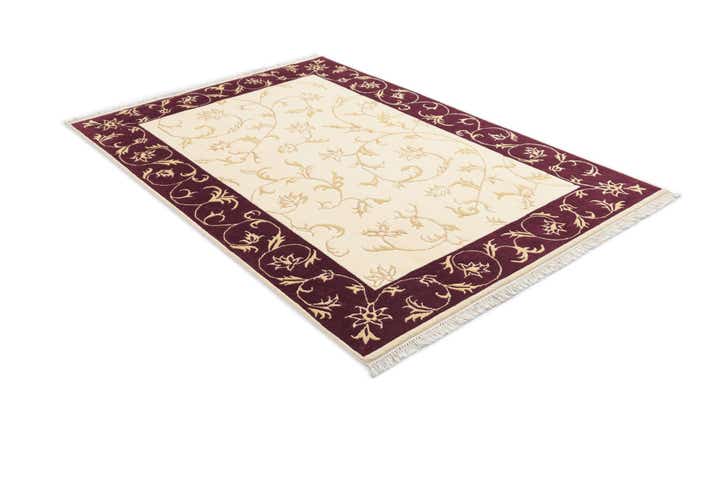 4' 8 x 6' 9 Hand Knotted Darya Rug