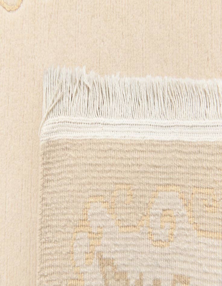 Detail image of 2' 7 x 4' 6  Hand Knotted Darya Wool Rug