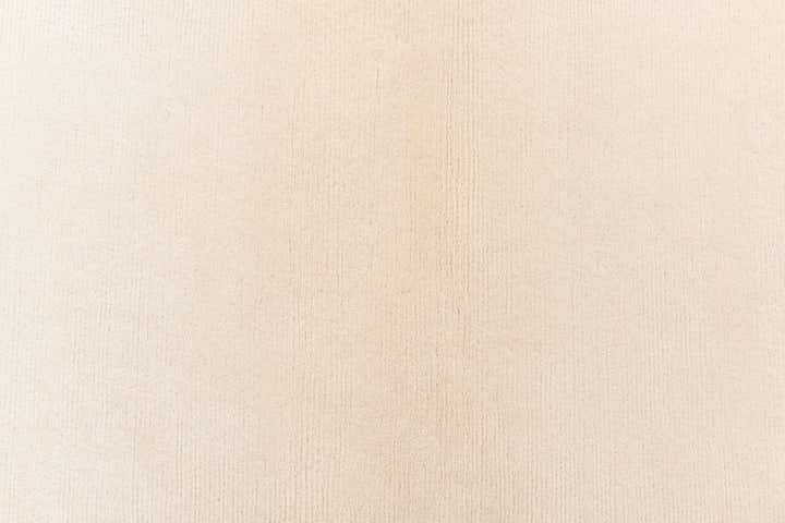 2' 9 x 9' 11 Darya Runner Rug