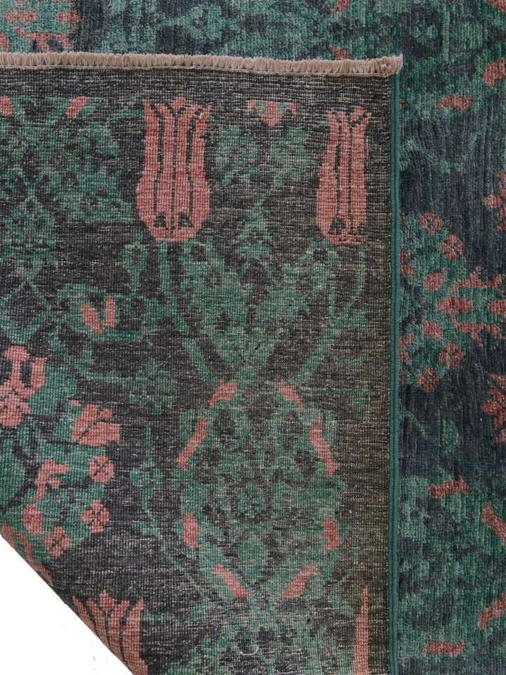 4' 2 x 6' 7 Hand Knotted Ariana Ziegler Rug