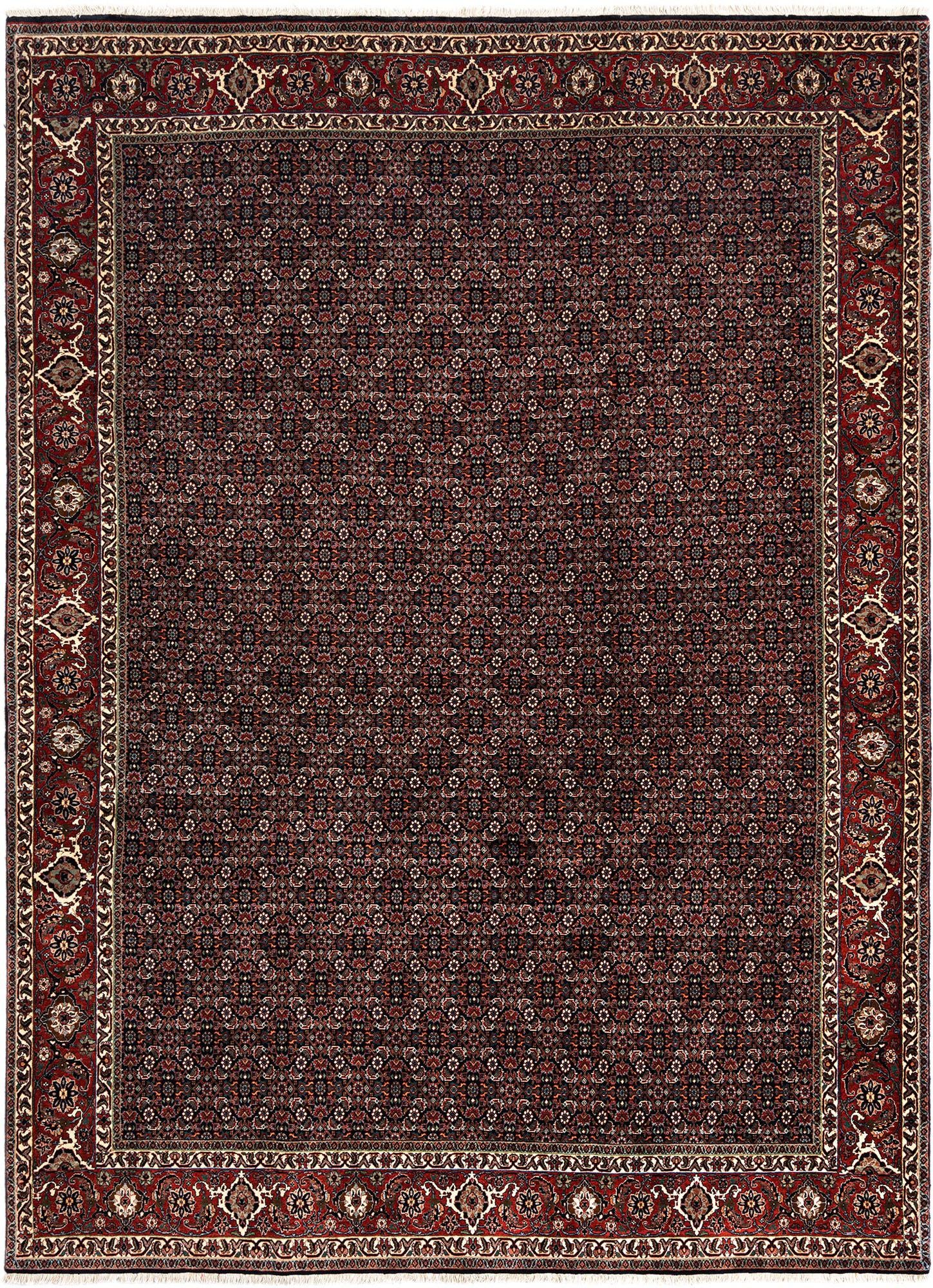 8' 2 x 11' 2 Bidjar Wool Rug