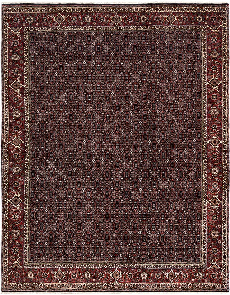 Detail image of 8' 2 x 11' 2 Bidjar Wool Rug