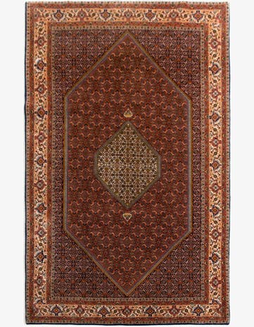 6' 5 x 9' 11 Bidjar Rug