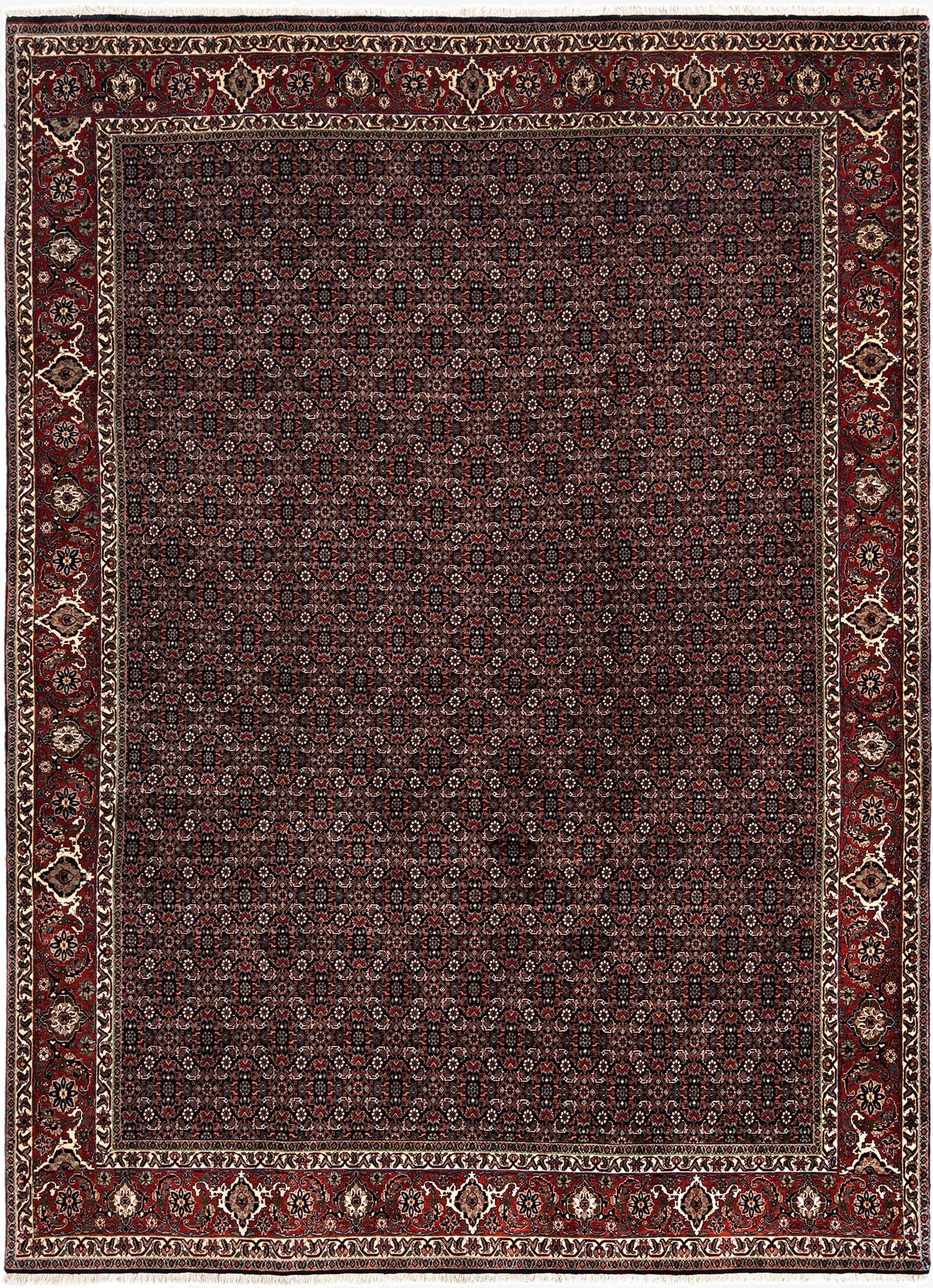 250cm x 340cm Bidjar Wool Rug