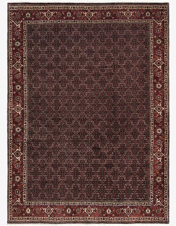 8' 2 x 11' 2 Bidjar Wool Rug