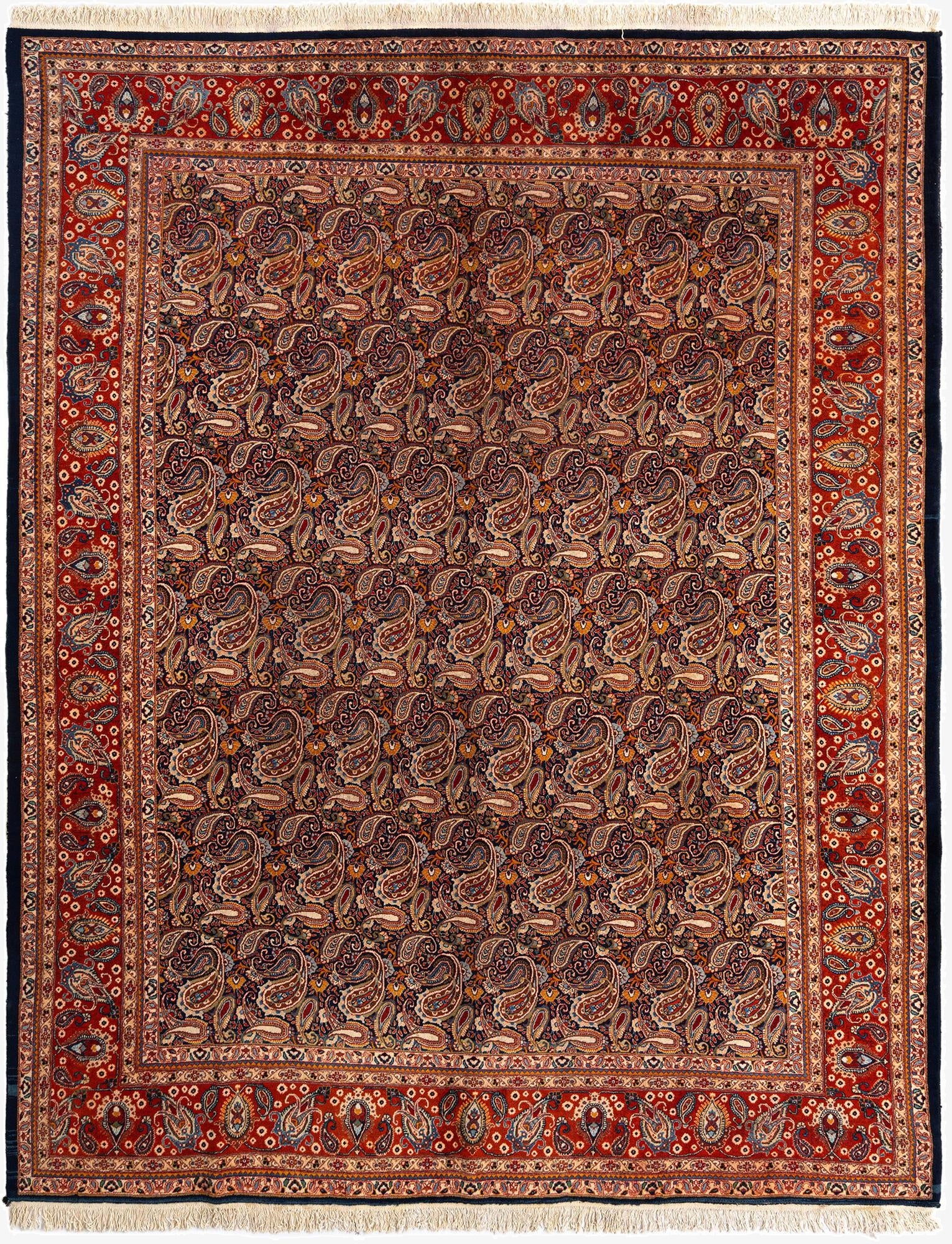 305cm x 385cm Kashan Wool Rug