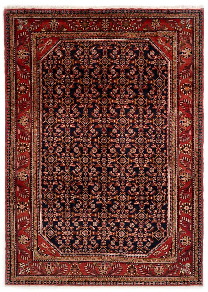 9' 2 x 12' 7 Hand Knotted Liliyan Persian Wool Rug