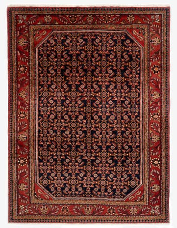 9' 2 x 12' 7 Hand Knotted Liliyan Persian Wool Rug