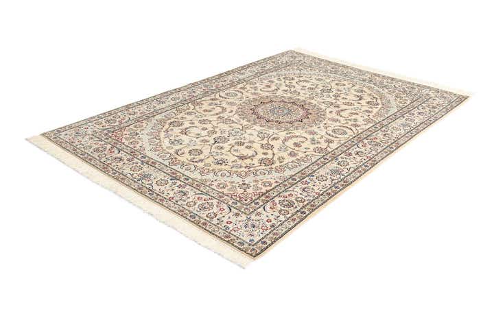 4' 11 x 7' 2 Nain Rug