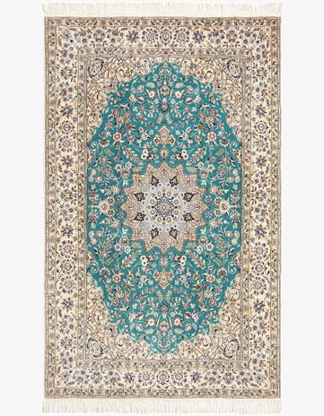4' 9 x 7' 8 Nain Rug