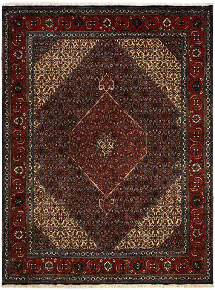 9' 11 x 13' 1 Tabriz Mahi Rug