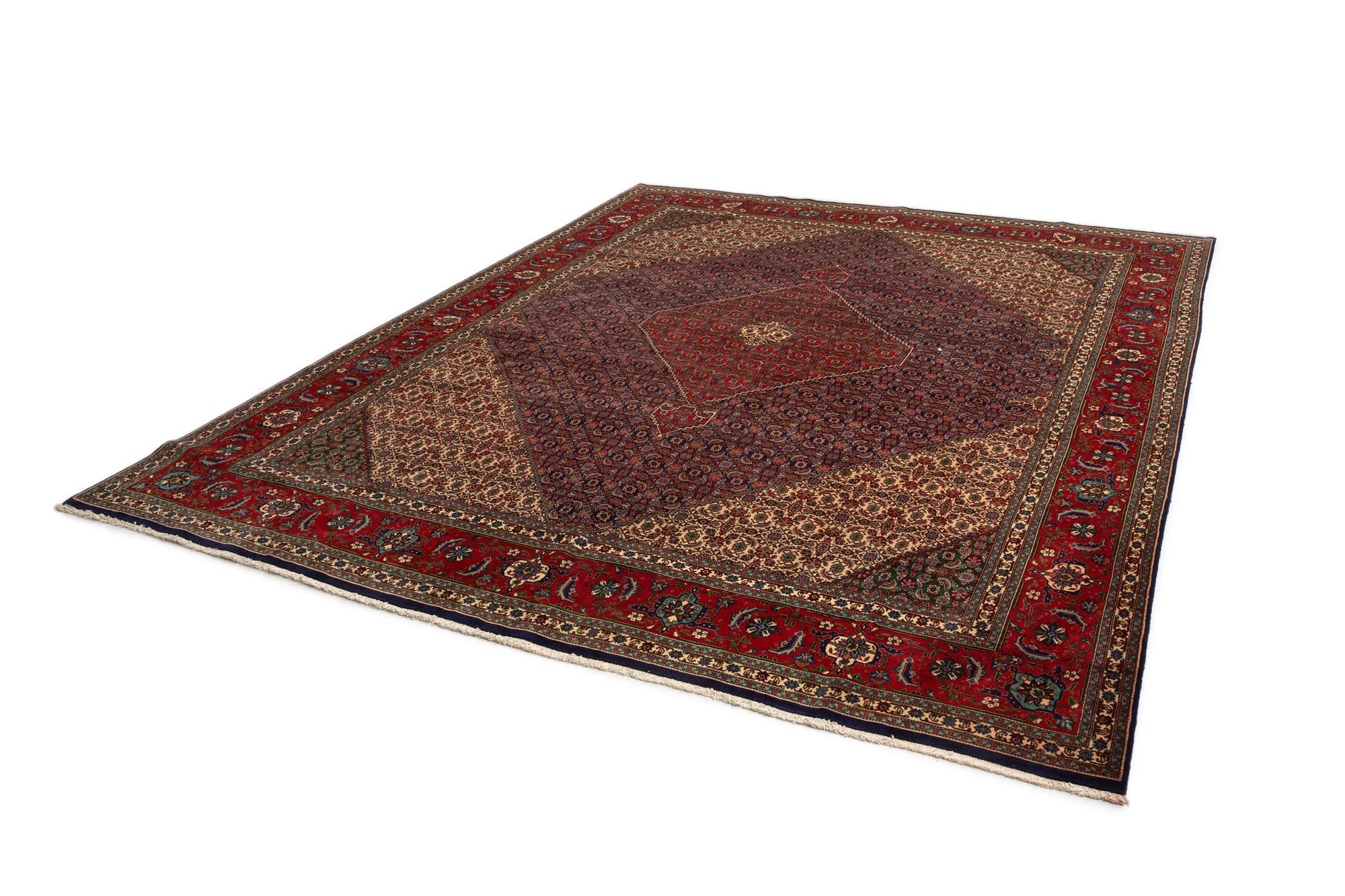 10' x 12' 5 Tabriz Mahi Rug