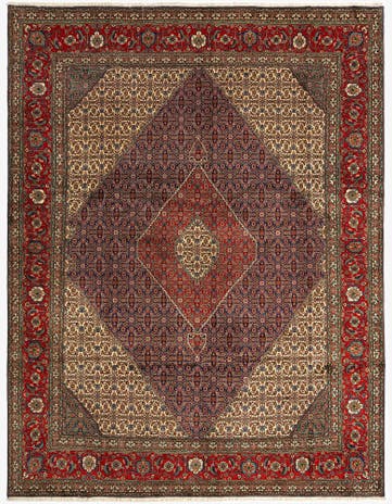 10' x 13' 1 Tabriz Mahi Rug