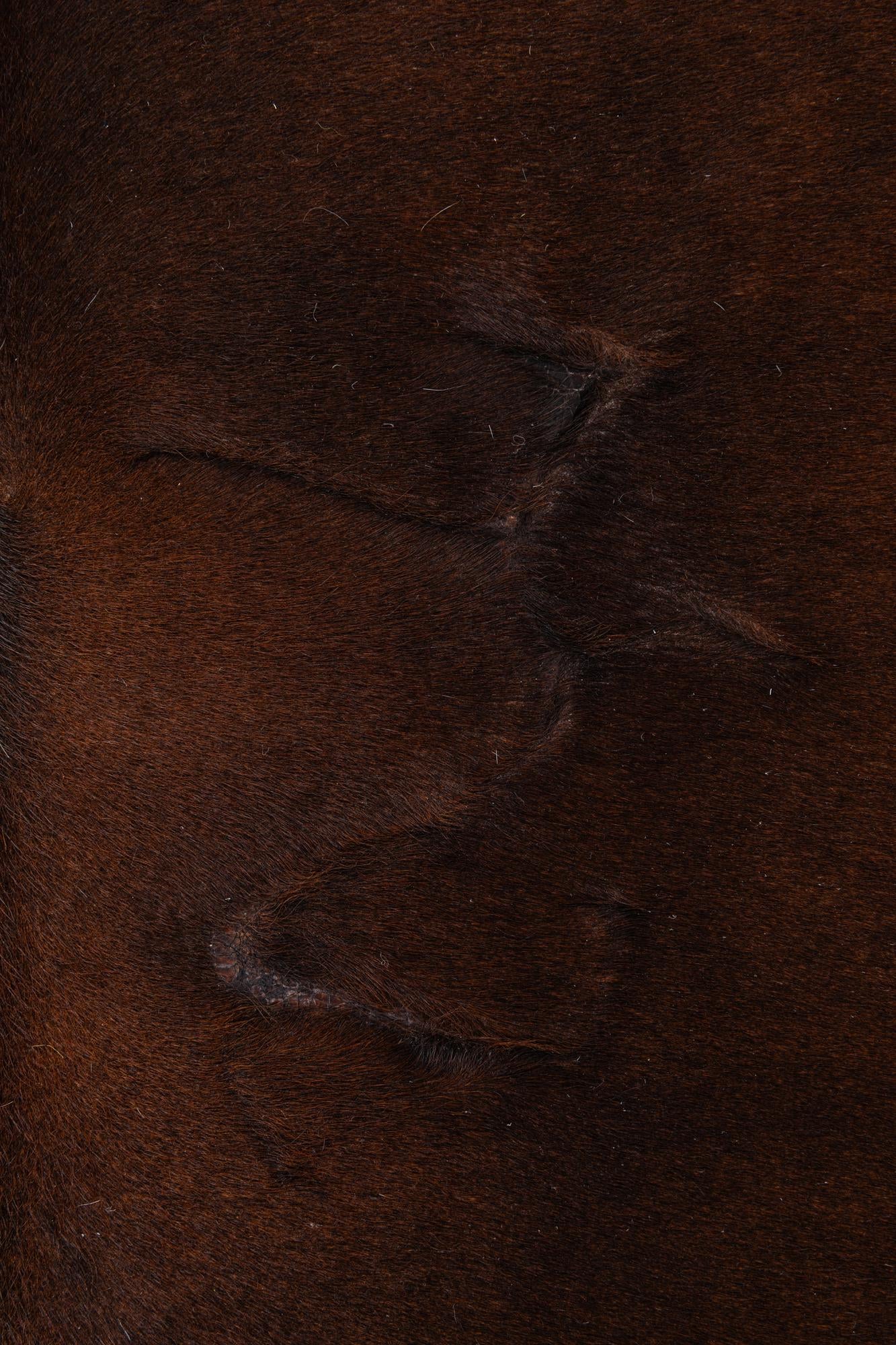 5' 11 x 6' 8 Cowhide Leather Freeform Rug