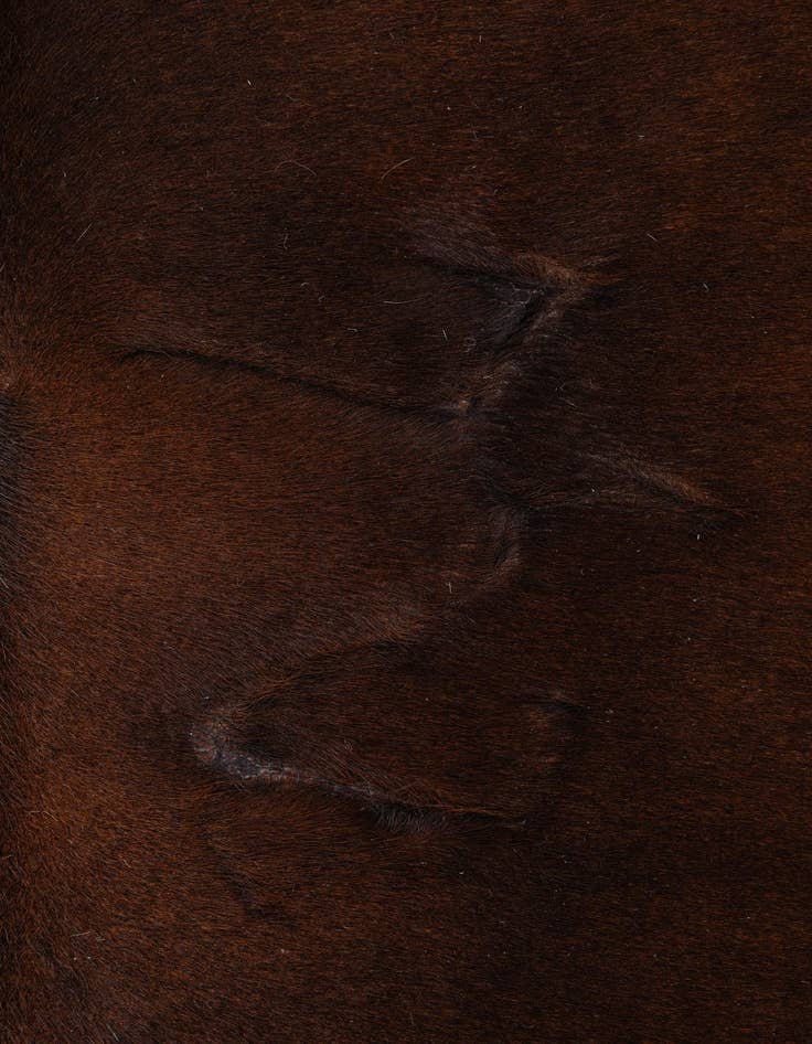 Detail image of 5' 11 x 6' 8 Cowhide Leather Freeform Rug