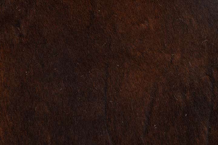 5' 11 x 6' 8 Cowhide Leather Freeform Rug
