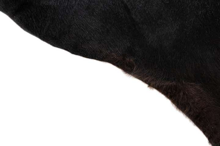 5' 7 x 6' 7 Cowhide Leather Freeform Rug