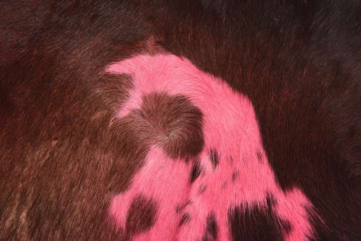 4' x 4' 10 Cowhide Freeform Rug