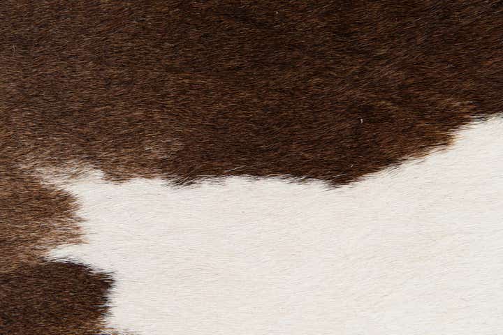1' 8 x 2' 7 Cowhide Leather Rug