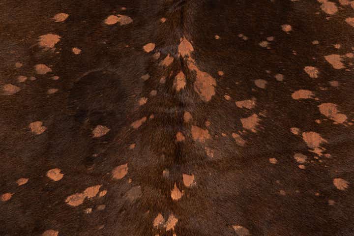 6' 7 x 6' 11 Cowhide Leather Square Rug