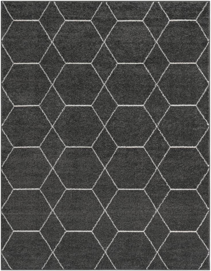 Detail image of 9' x 12' Lattice Frieze Rug