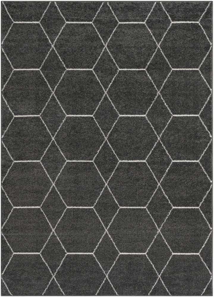 9' x 12' Lattice Frieze Rug