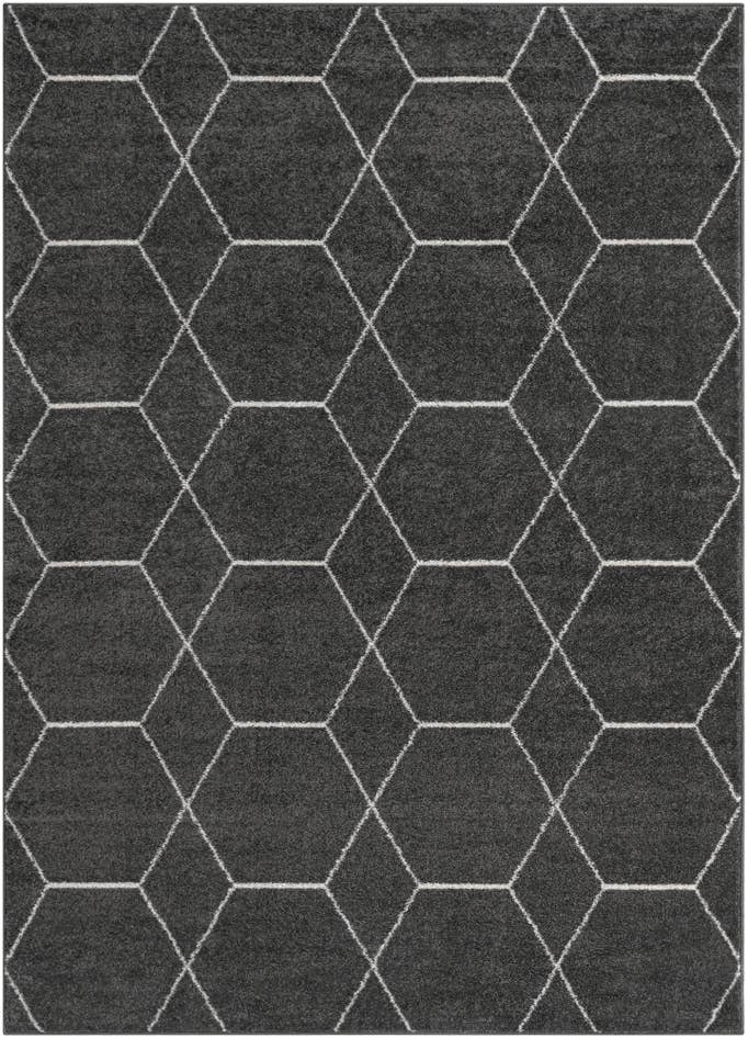 Detail image of 9' x 12' Lattice Frieze Rug