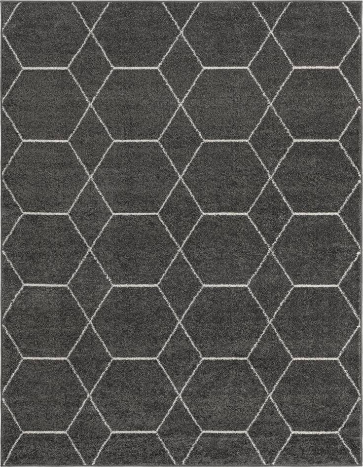 Detail image of 5' 3 x 8' Lattice Frieze Rug