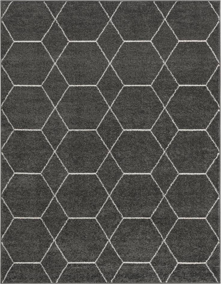 Detail image of 4' x 6' Lattice Frieze Rug