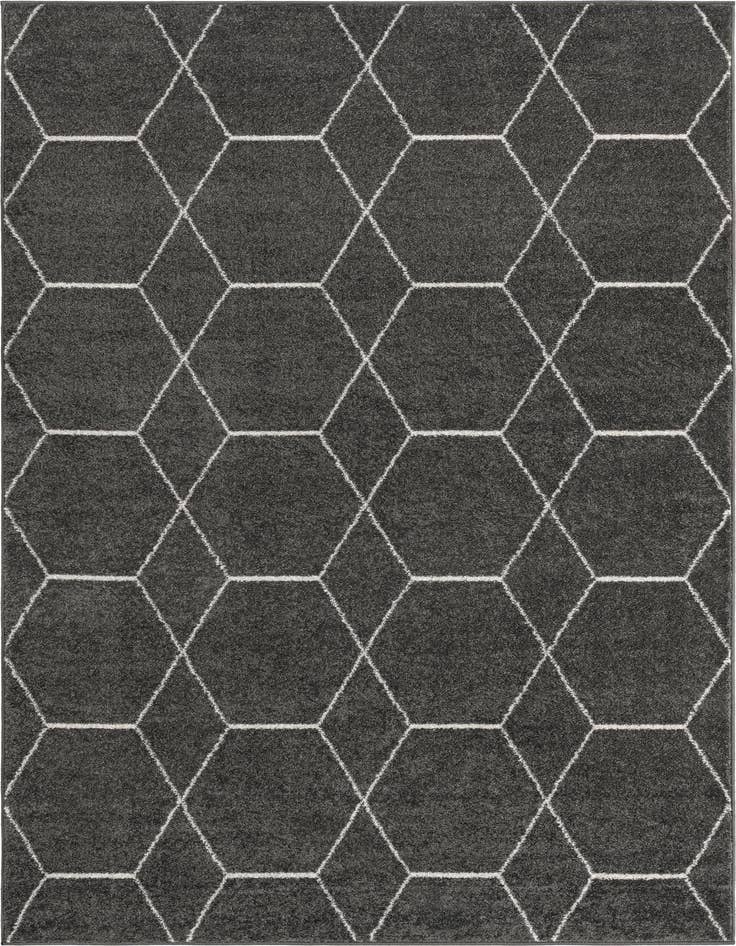 Detail image of 10' x 14' Lattice Frieze Rug