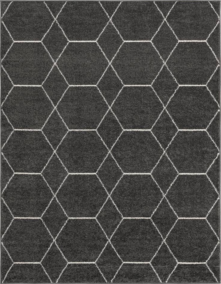 Detail image of 6' x 9' Lattice Frieze Rug