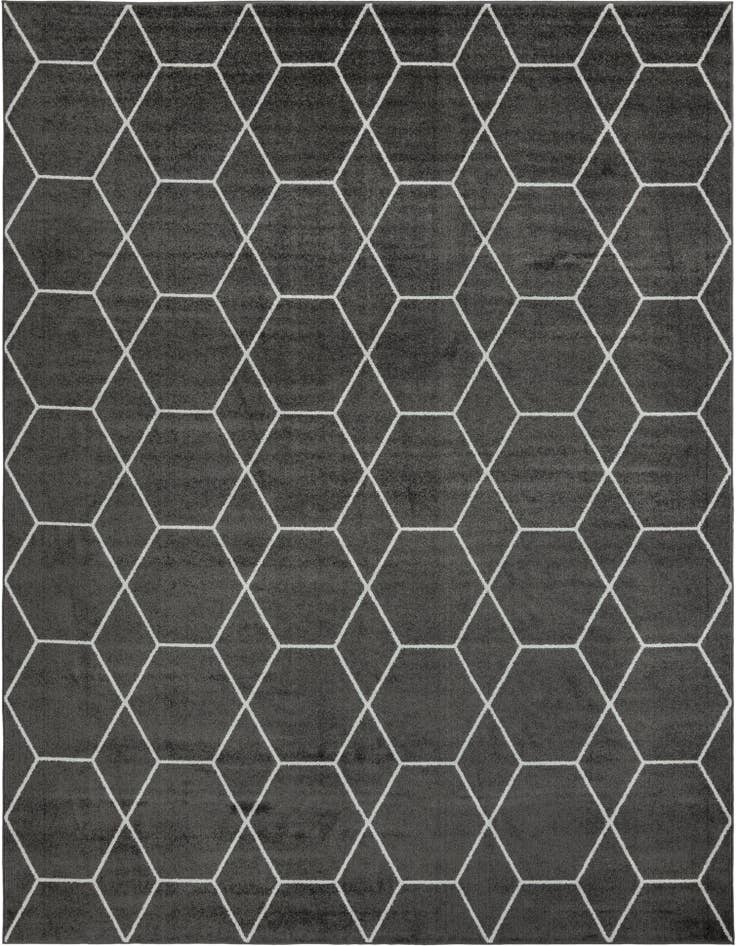 Detail image of 10' x 13' Lattice Frieze Rug