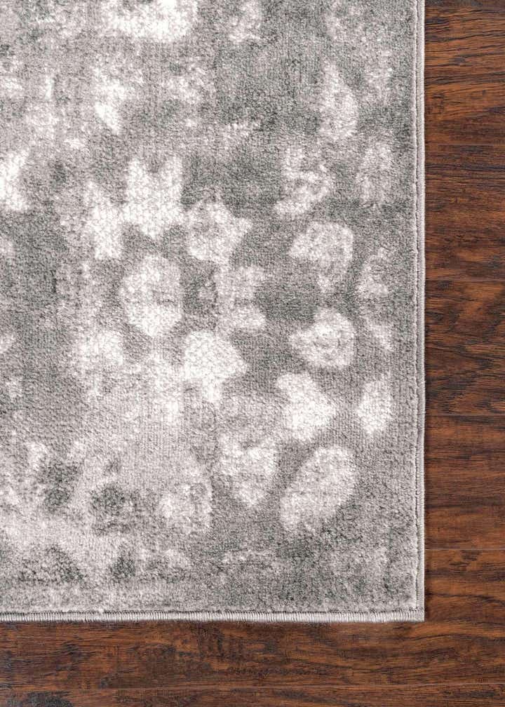 4' x 6' Monaco Rug