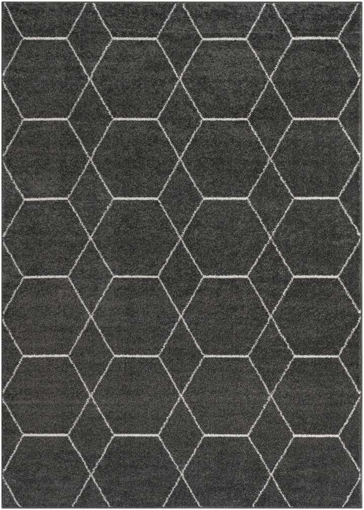 9' x 12' Trellis Frieze Rug