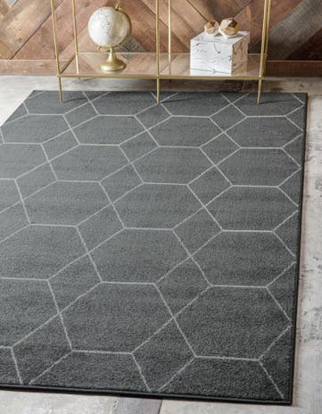 10' x 14' Trellis Frieze Rug