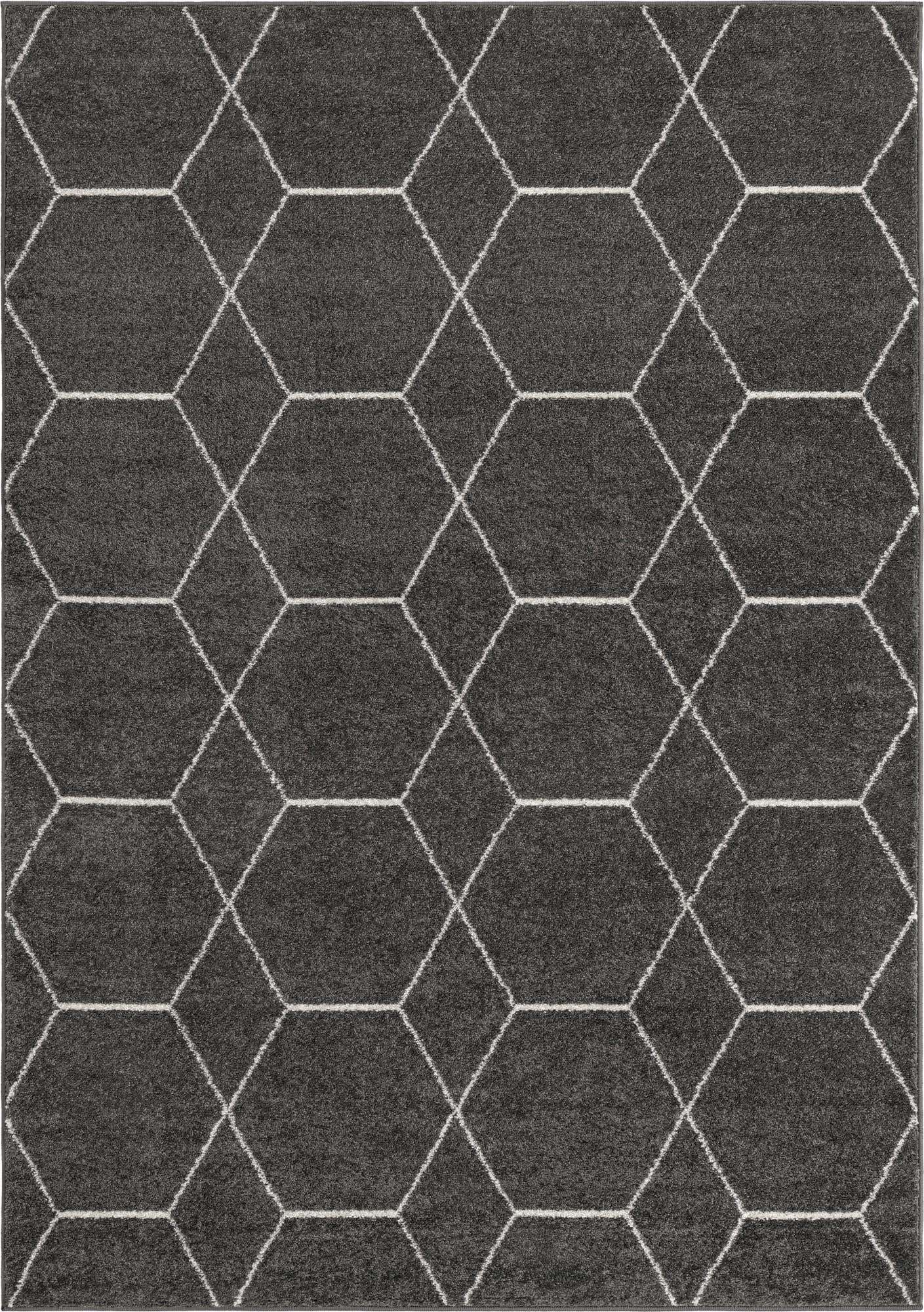 10' x 14' Trellis Frieze Rug