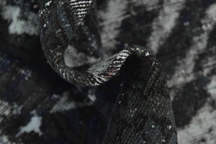 6' 7 x 9' 3 Hand Knotted Ultra Vintage Persian Wool Rug