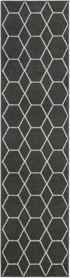Detail image of 2' x 8' Lattice Frieze Runner Rug
