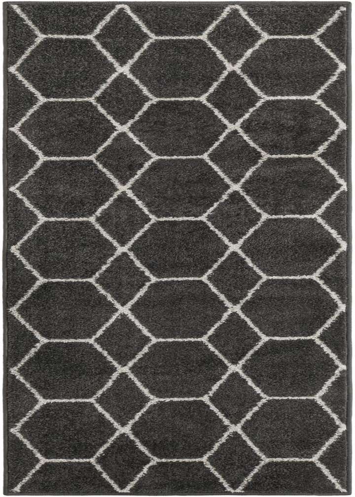 2' x 5' 3 Trellis Frieze Runner Rug