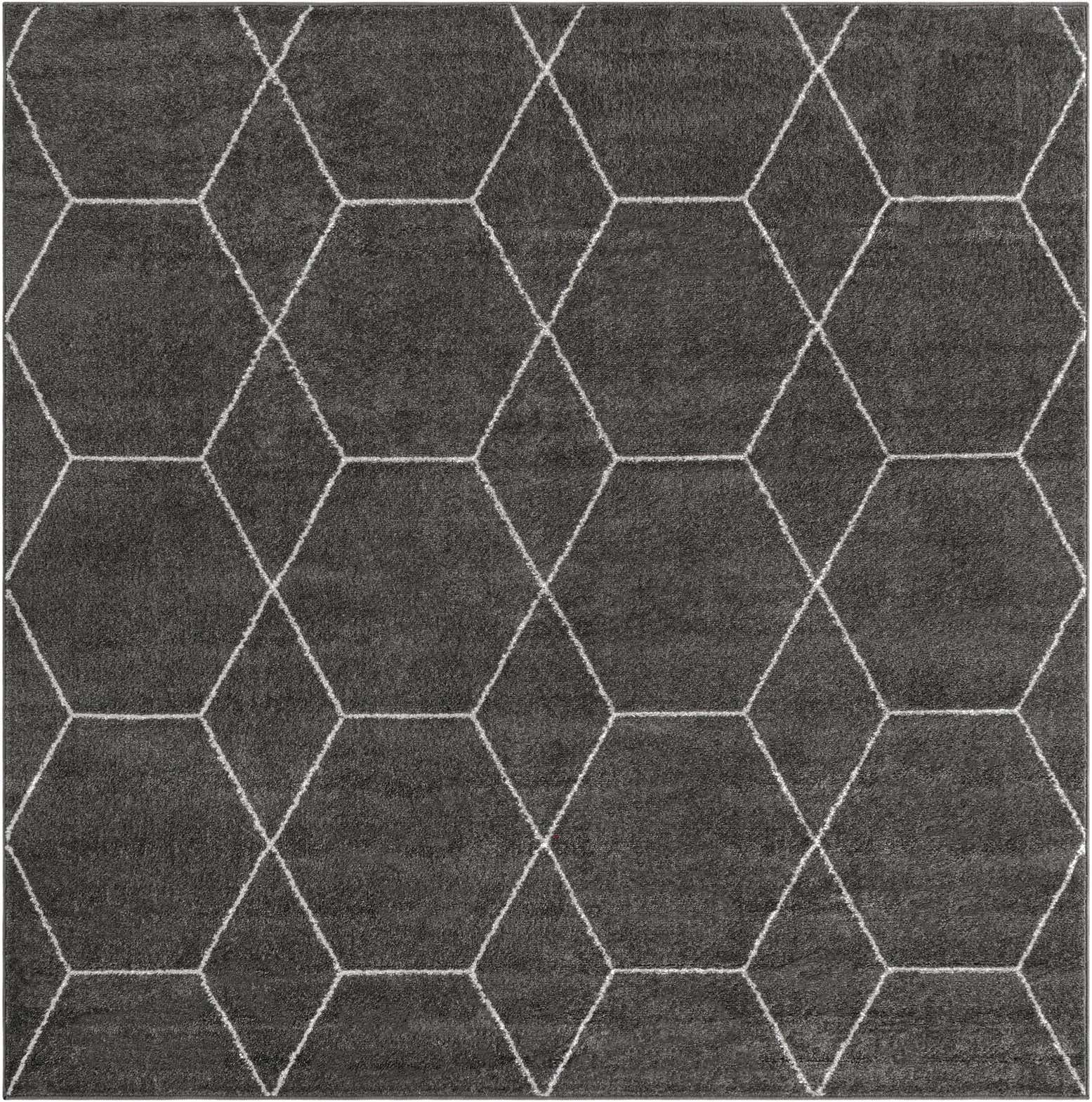 5' 3 x 5' 3 Lattice Frieze Square Rug
