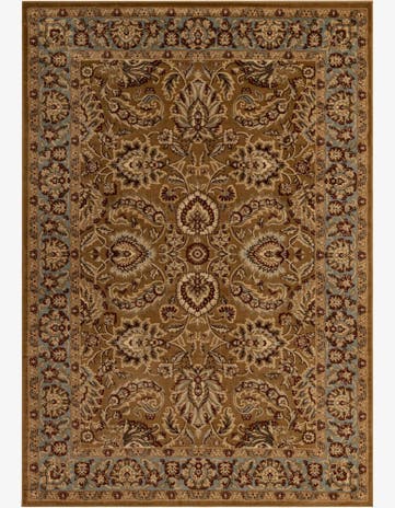 7' x 10' Classic Agra Rug