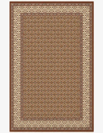 5' 3 x 8' Nain Design Rug