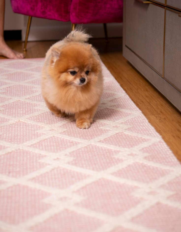 Detail image of 2' 7 x 12'  Hand Knotted Jill Zarin Dorset Runner Rug