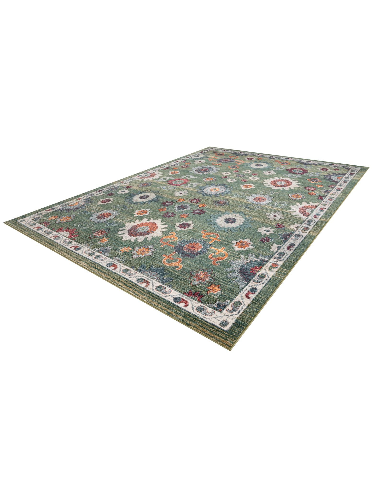 10' x 14' Isabella Rug