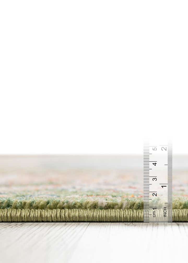 4' x 6' Isabella Rug