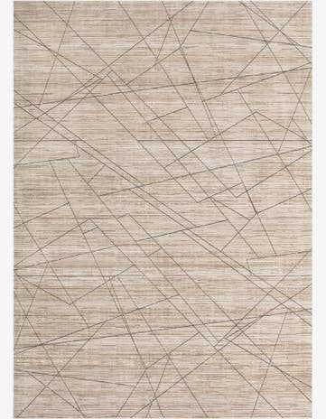 10' x 14' Silta Rug