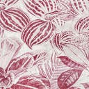 Rug Fuchsia Swatch link