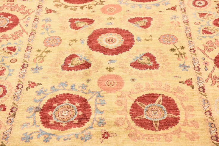 Detail image of 5' 9 x 8' Hand Knotted Ariana Ziegler Oriental Rug